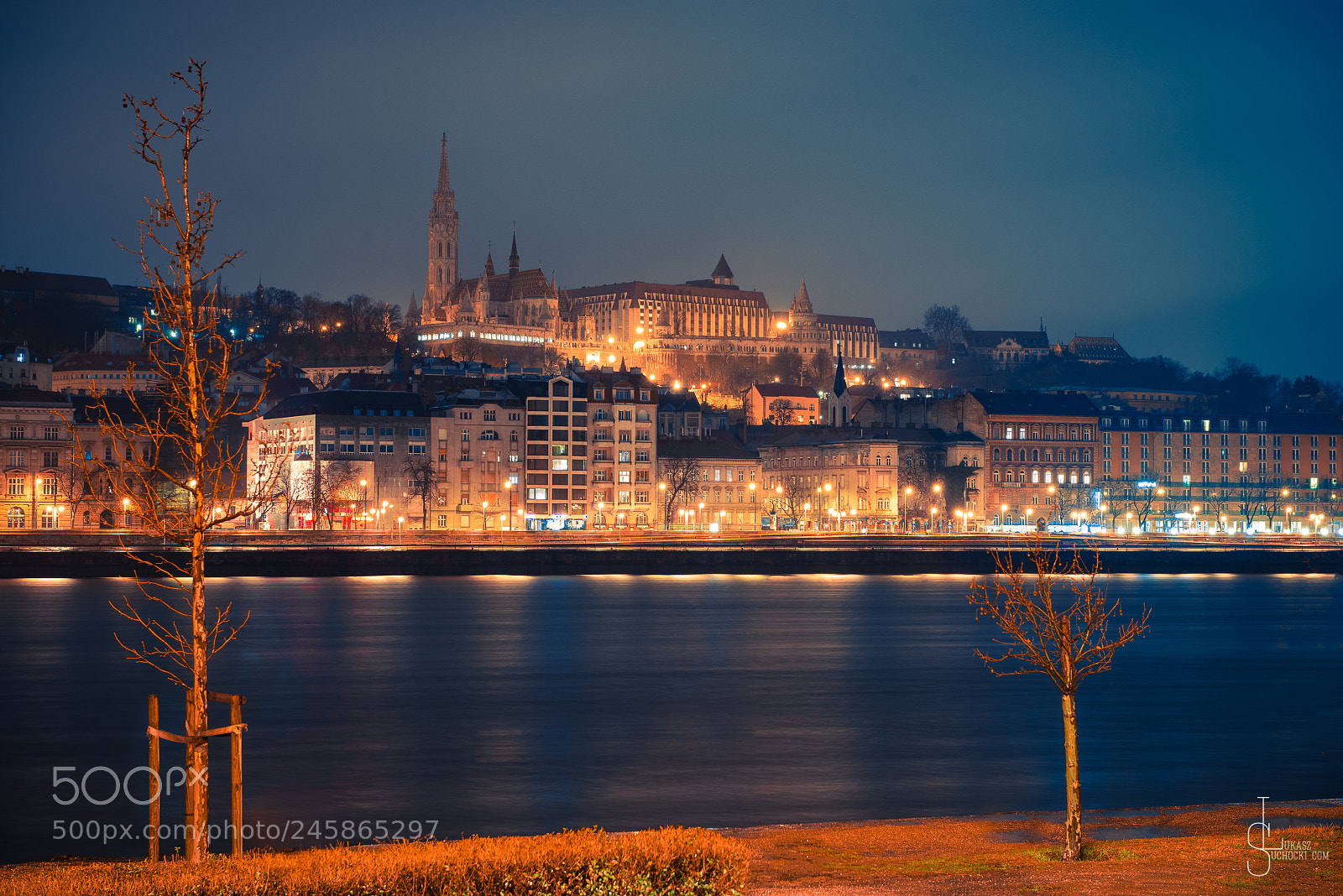 Nikon D800 sample photo. Budapest by night photography