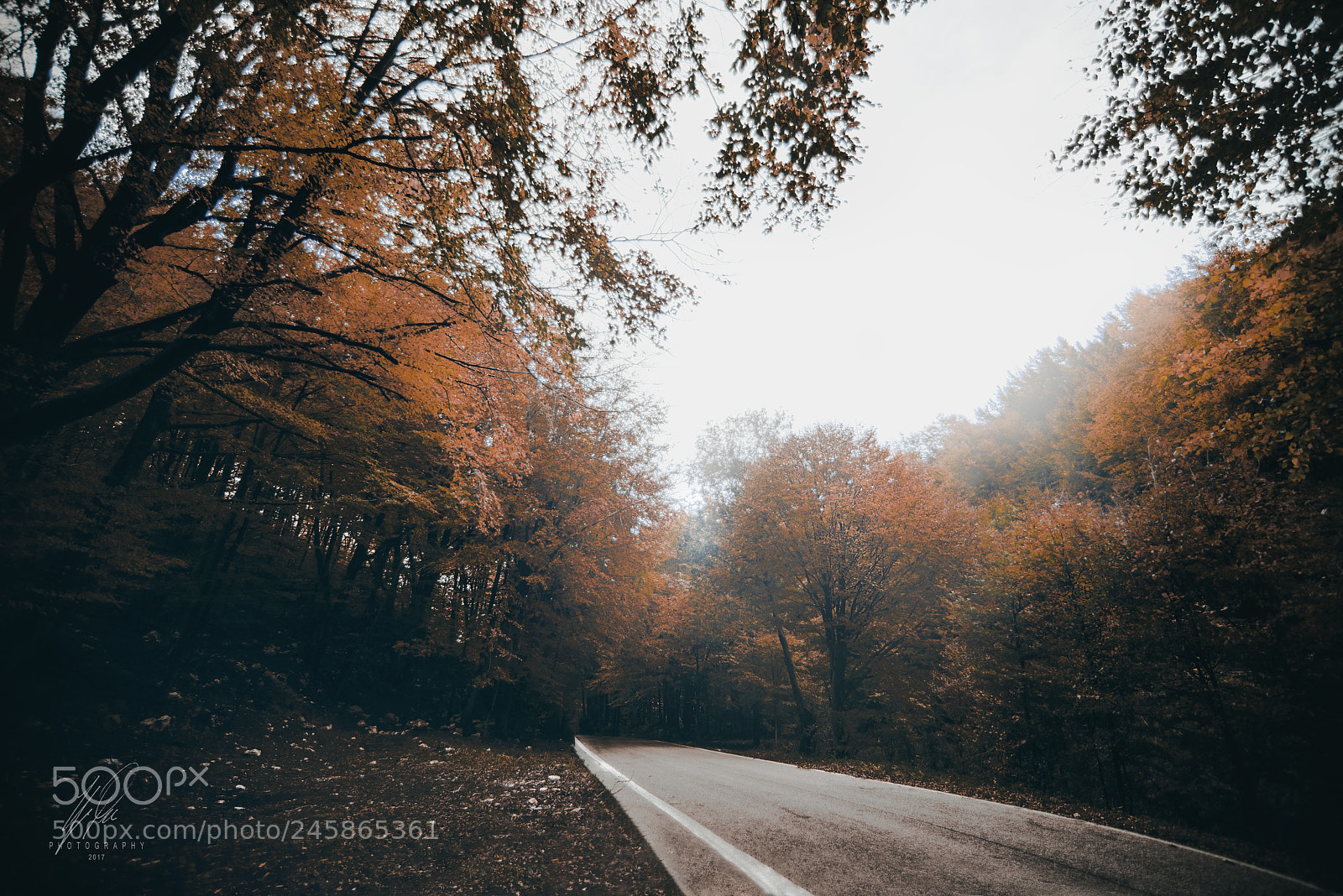 Nikon D800E sample photo. Pietramelara - italy 2018 photography