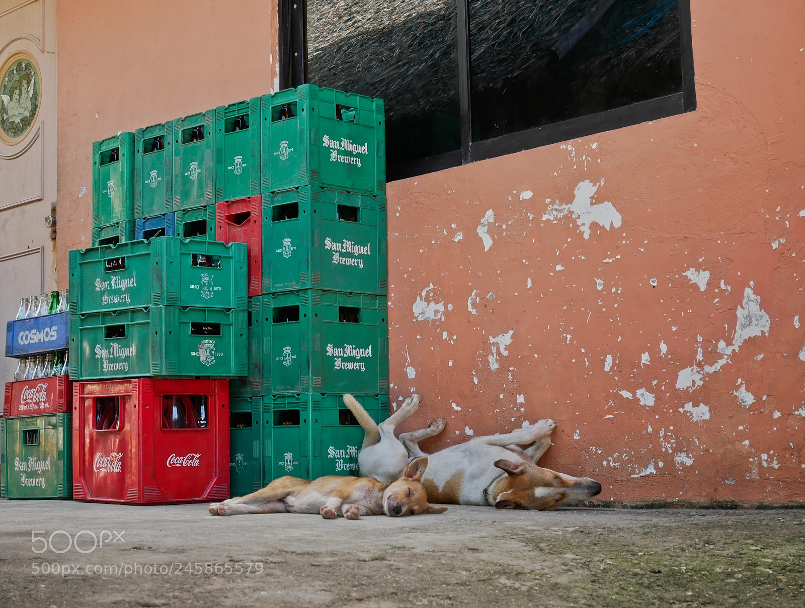 Panasonic Lumix DMC-GX85 (Lumix DMC-GX80 / Lumix DMC-GX7 Mark II) sample photo. Nap time, december 2017, philippines photography