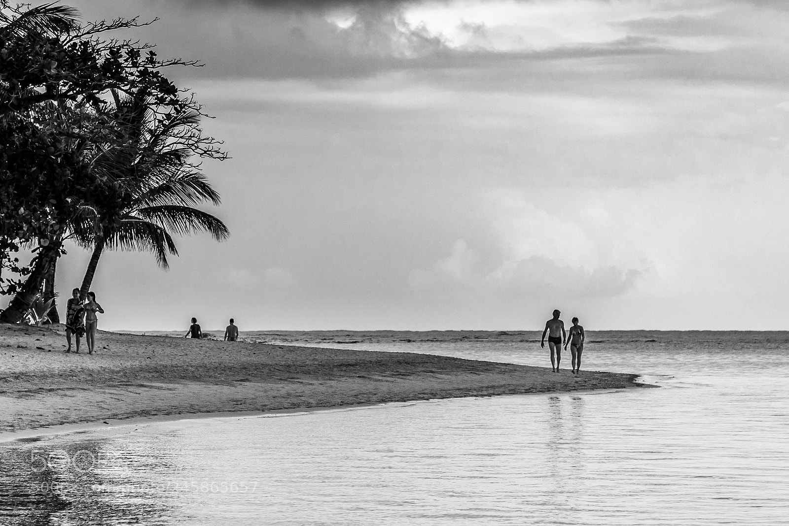 Nikon D610 sample photo. Along the beach photography