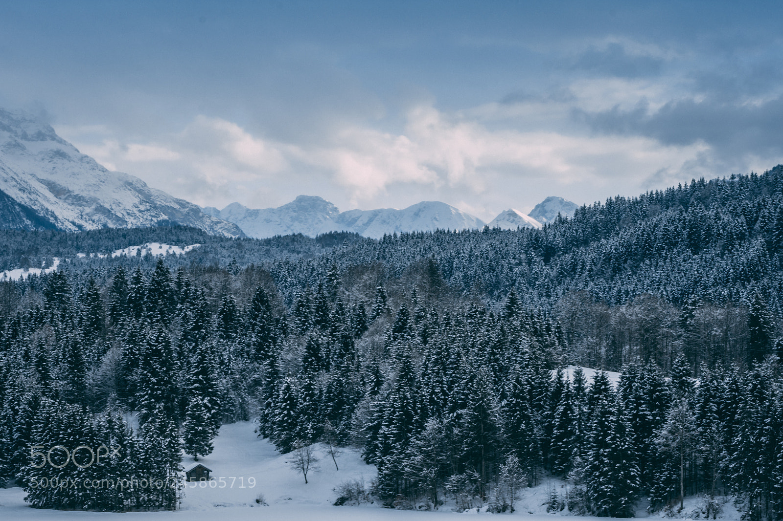 Nikon D7200 sample photo. Small cabin in front photography