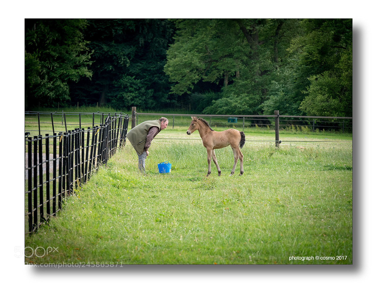Panasonic Lumix DMC-GX8 sample photo. Blue bucket. photography