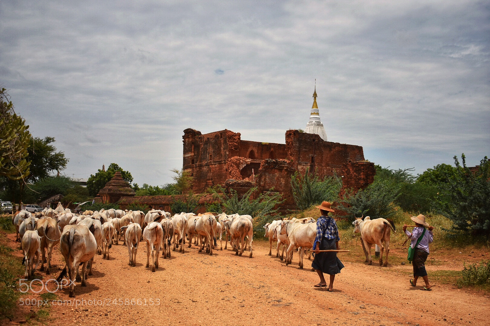 Nikon D3400 sample photo. Untouched beauty at bagan. photography
