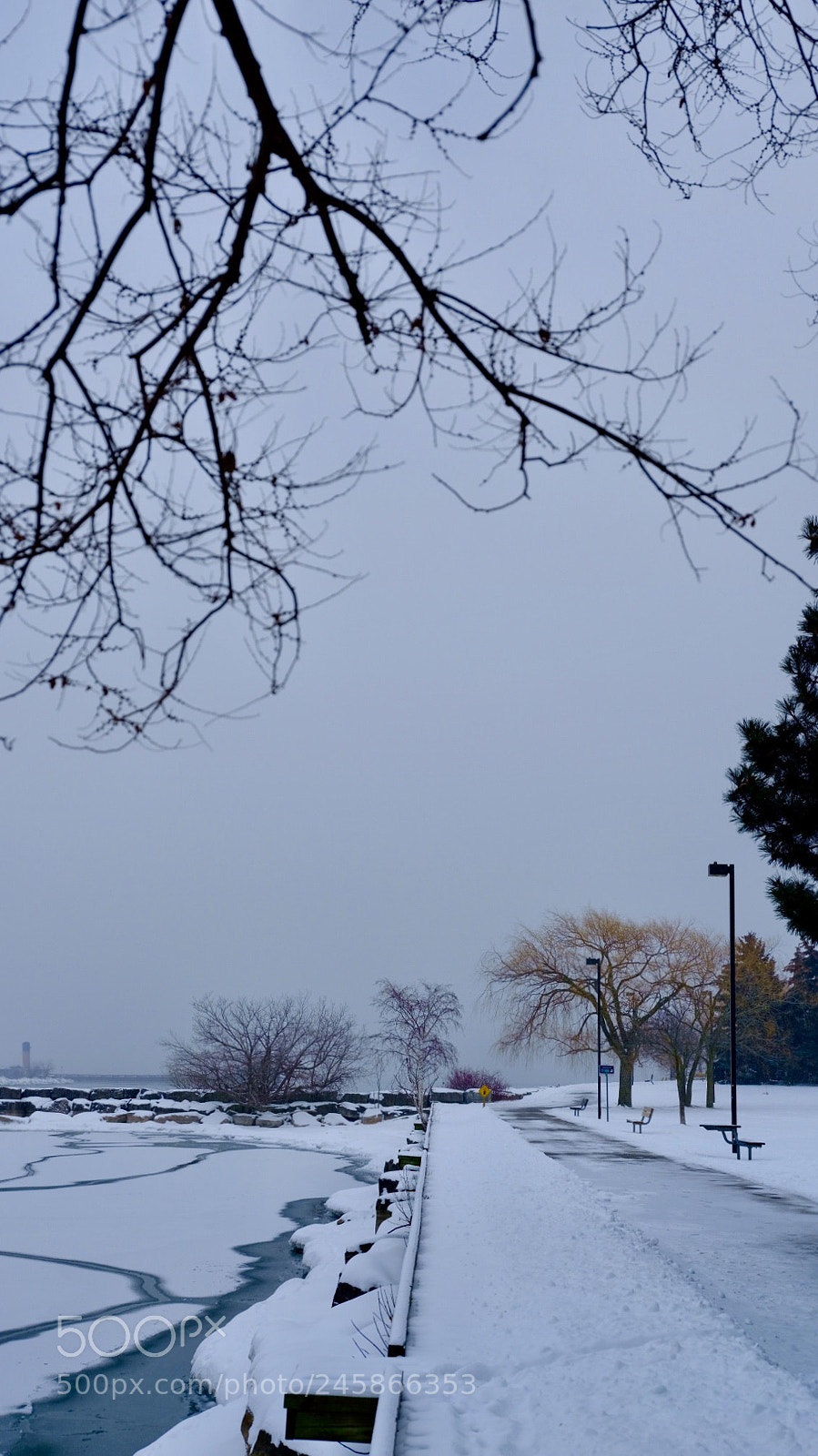 Fujifilm GFX 50S sample photo. Winter s lakeshore of photography