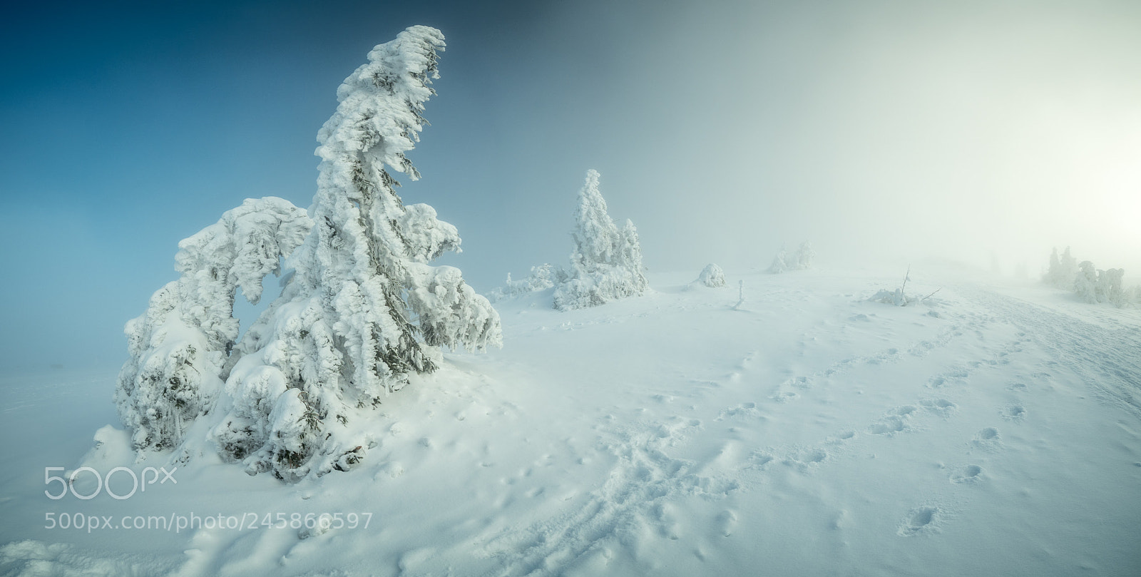 Olympus OM-D E-M1 Mark II sample photo. Bavarian desert photography