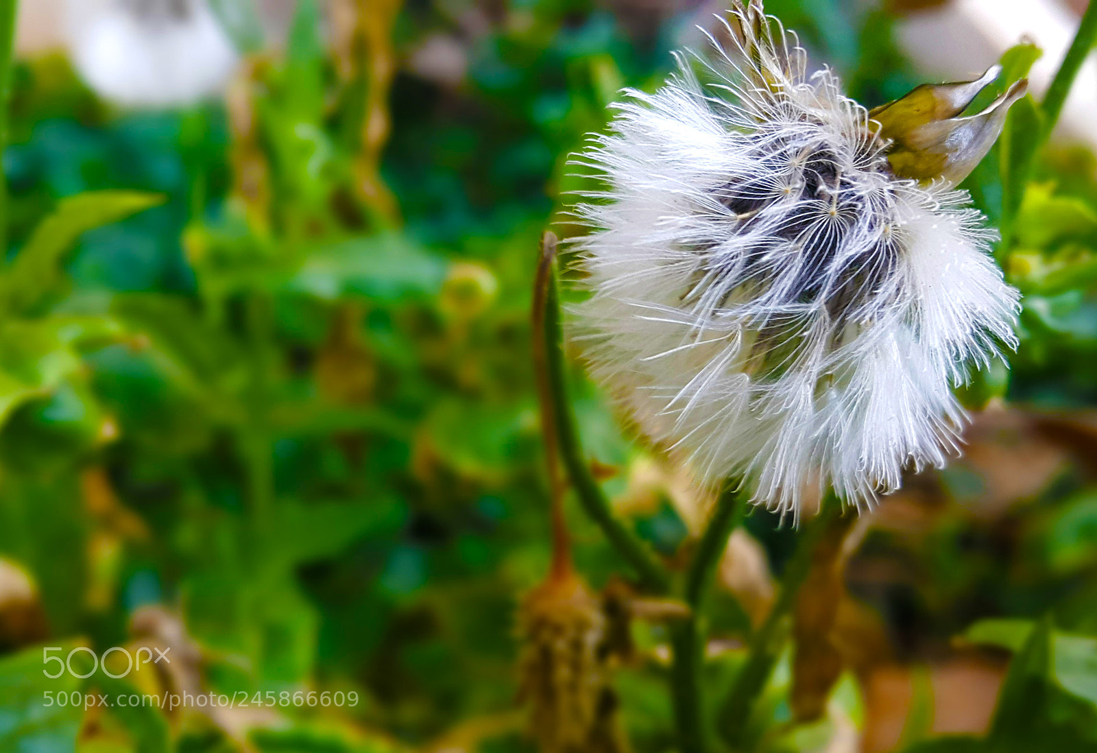Samsung Galaxy Note4 sample photo. Untitled photography