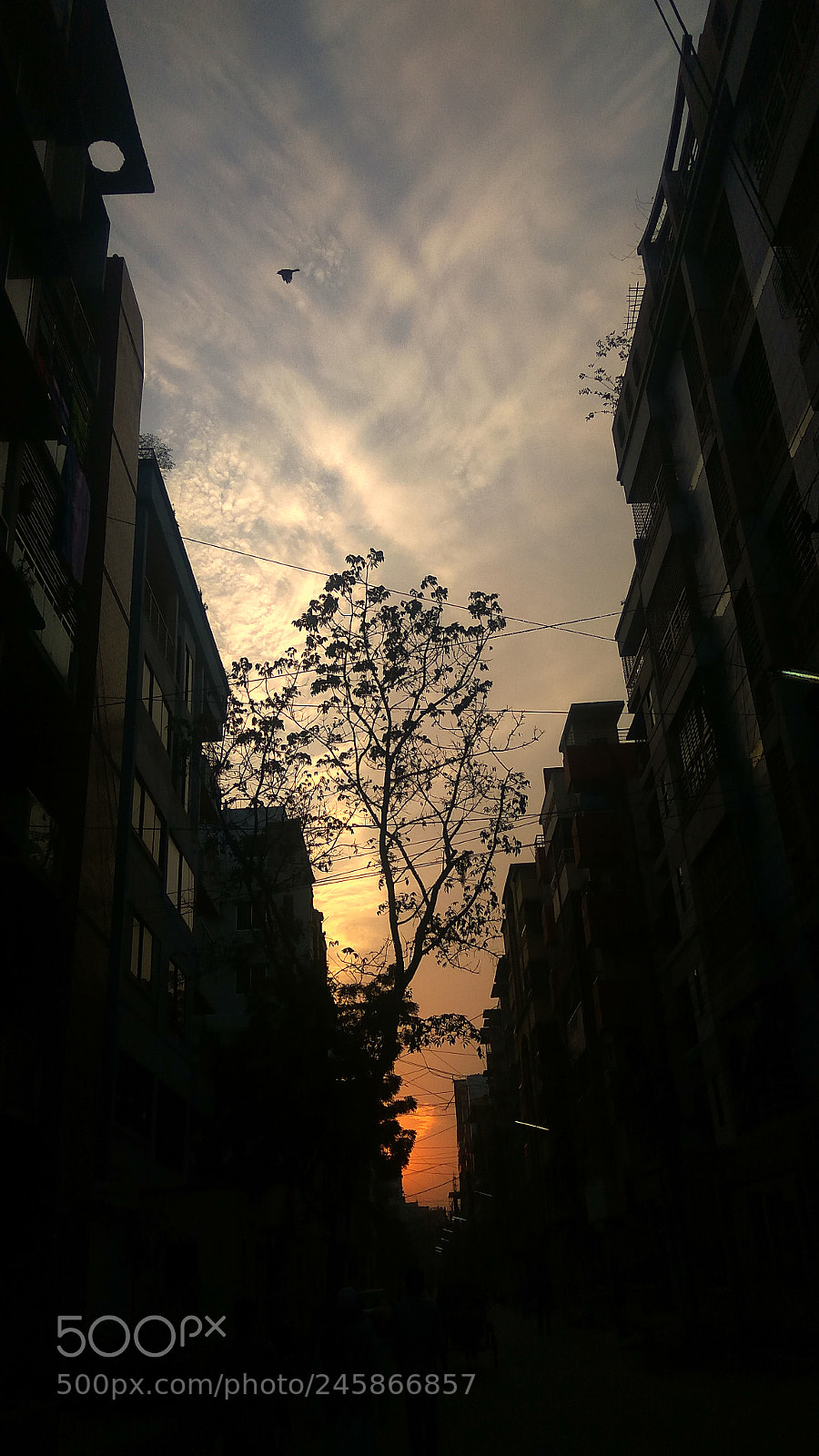 Xiaomi Redmi Note3 sample photo. Untitled photography