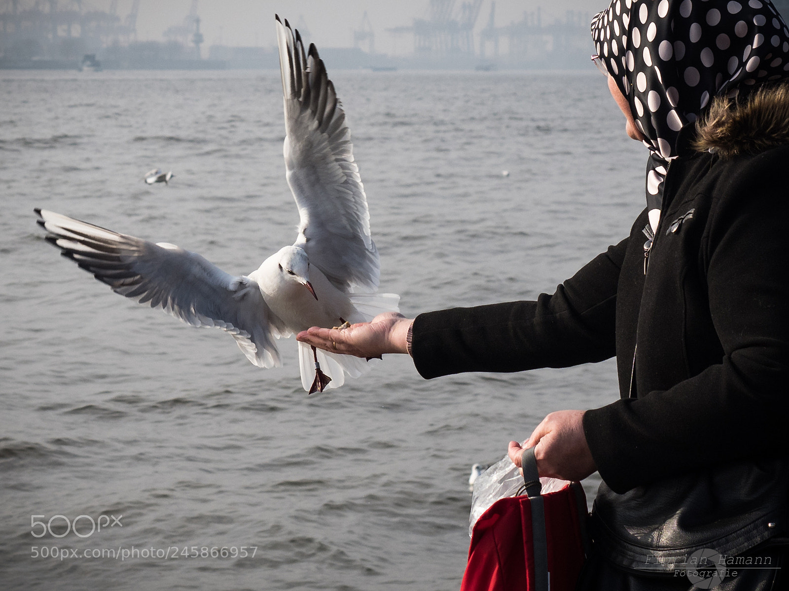 Olympus OM-D E-M1 Mark II sample photo. Stadtspaziergang hamburg photography