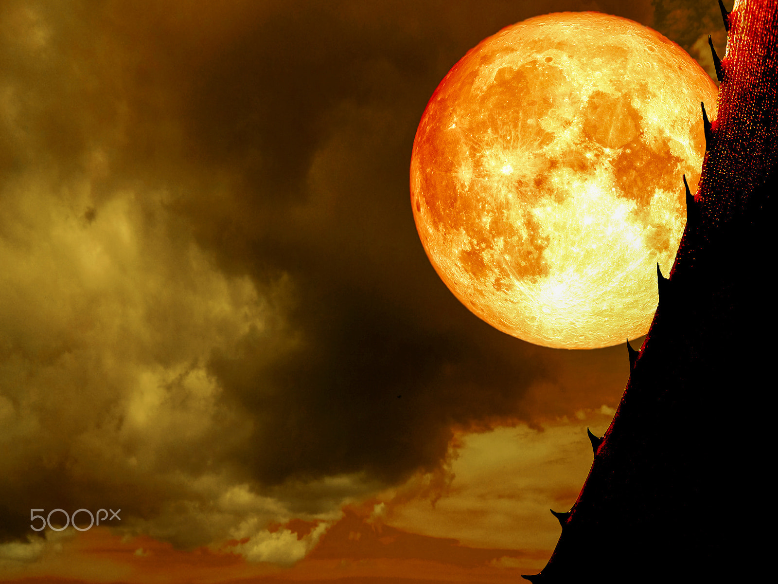 Samsung WB250F/WB251F/WB252F sample photo. Super full blood moon back of silhouette thorn plant photography