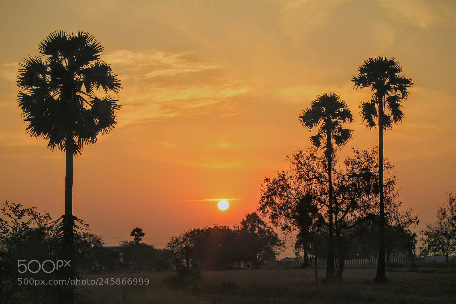 Canon EOS 1300D (EOS Rebel T6 / EOS Kiss X80) sample photo. Hanging sunrise photography