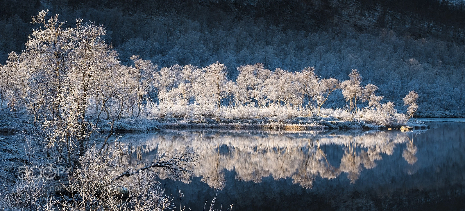 Fujifilm X-T20 sample photo. Early morning lightning. photography