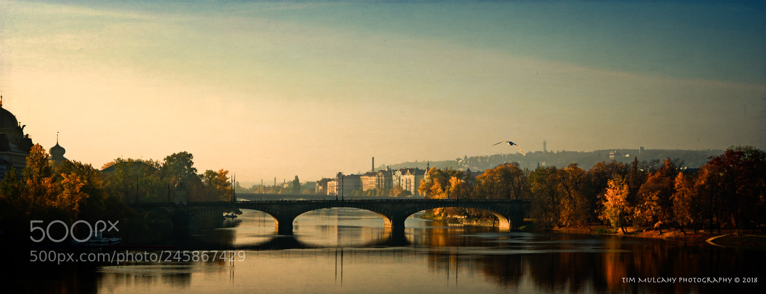 Sony a7 II sample photo. The bridge photography