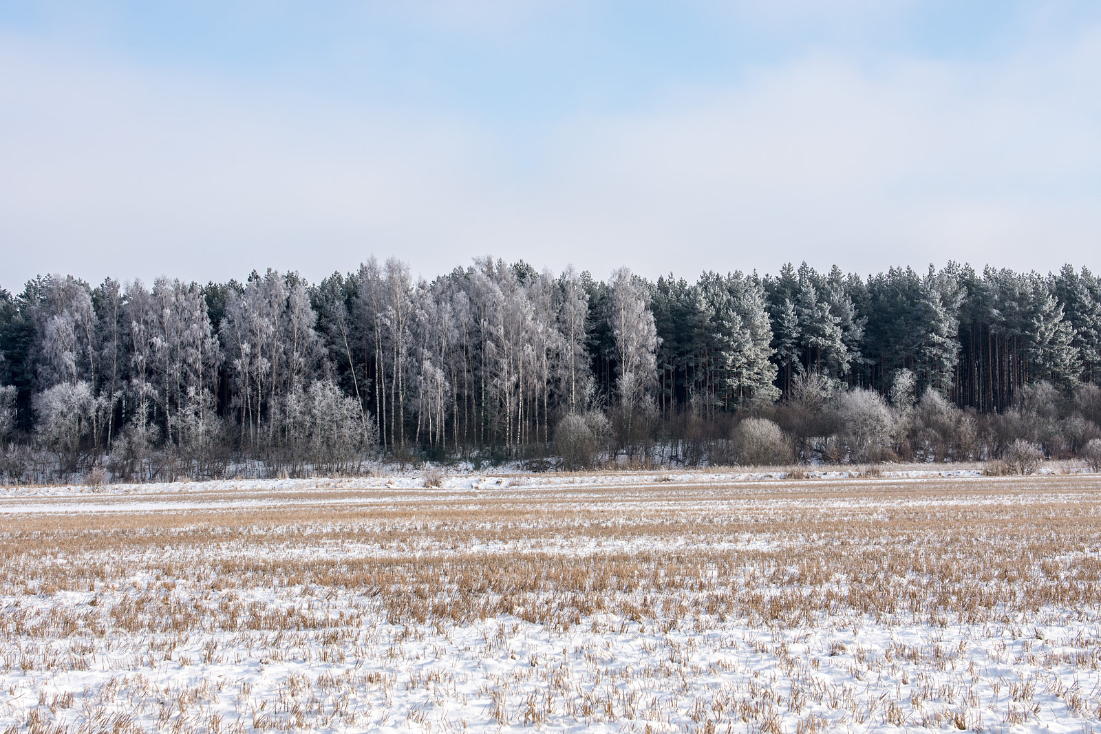 Nikon D7200 sample photo. Winter photography