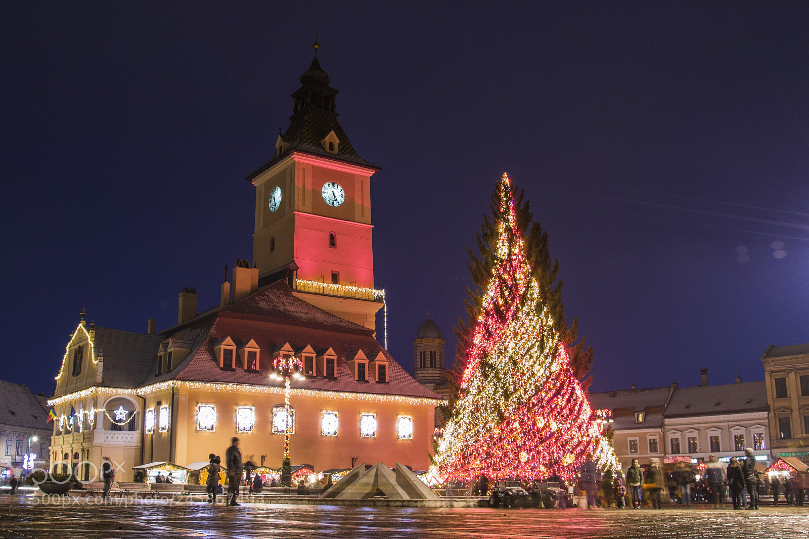 Nikon D3100 sample photo. Christmas tree photography