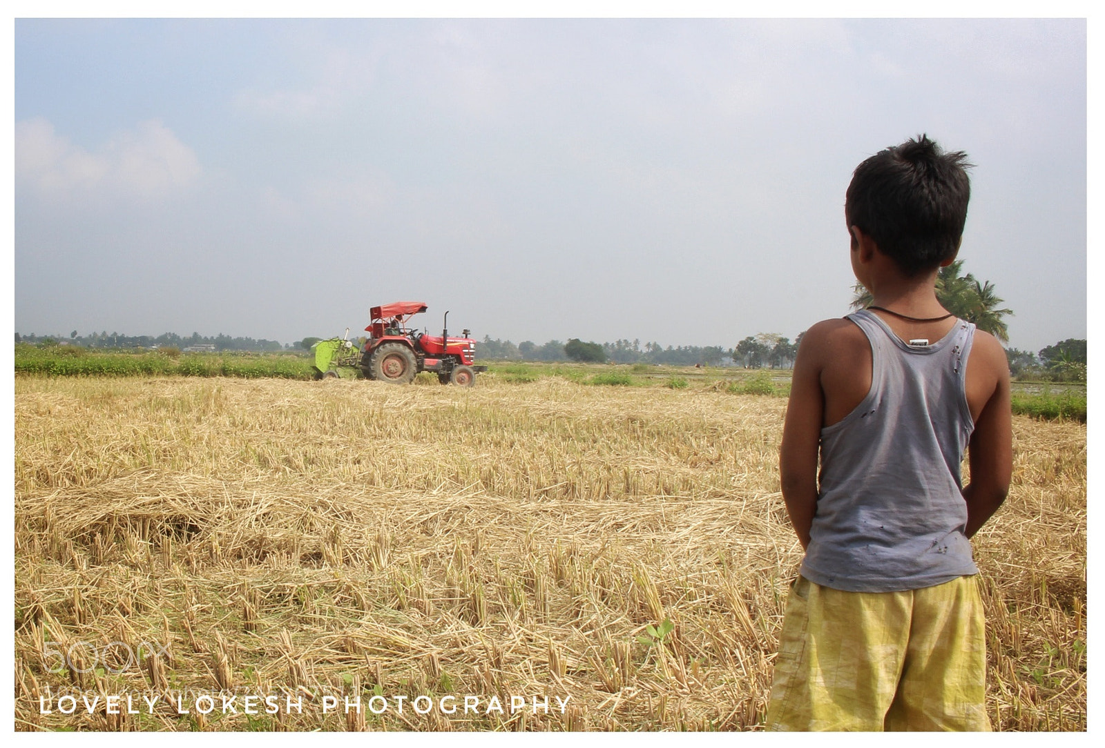Canon EOS 700D (EOS Rebel T5i / EOS Kiss X7i) sample photo. Farming photography