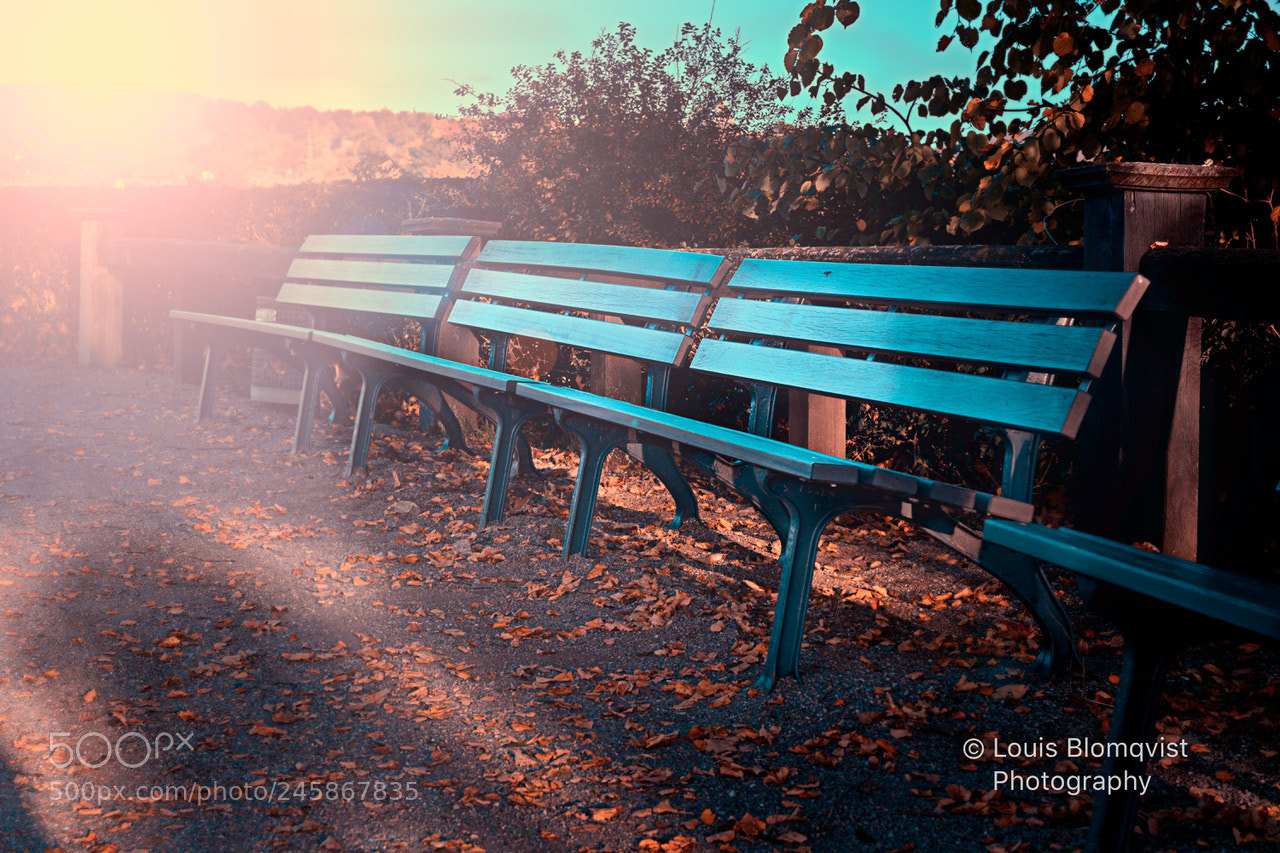 Nikon D5200 sample photo. Untitled photography