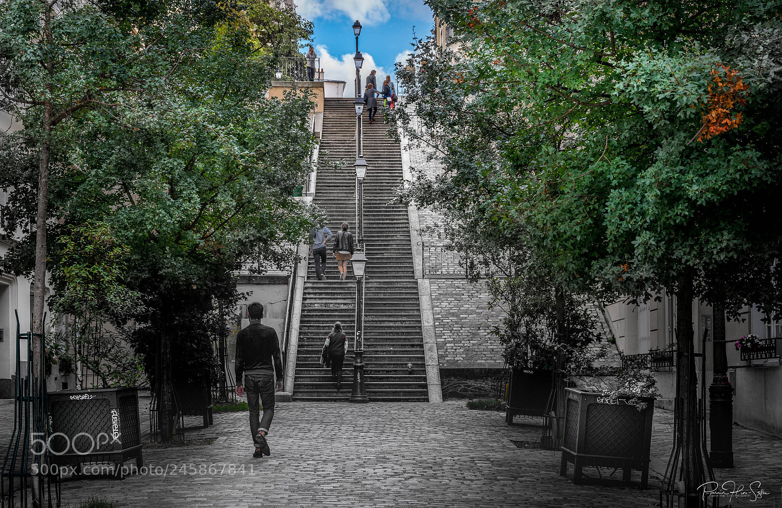 Nikon D610 sample photo. Stairwyay photography