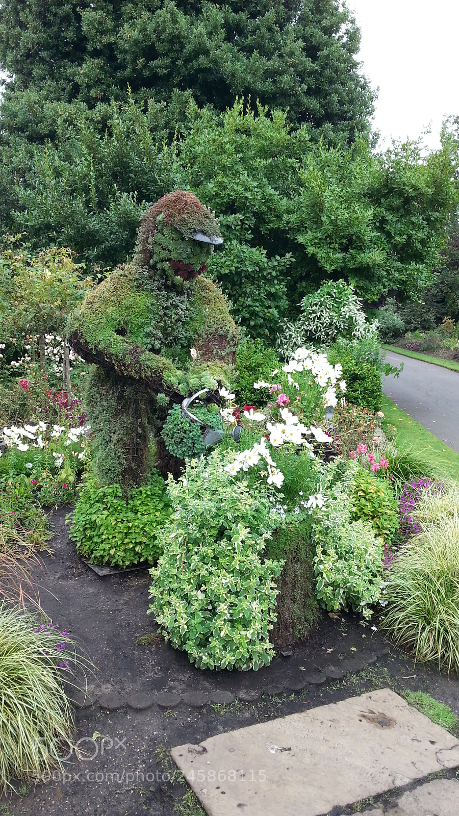Samsung Galaxy S3 sample photo. Greengardener photography