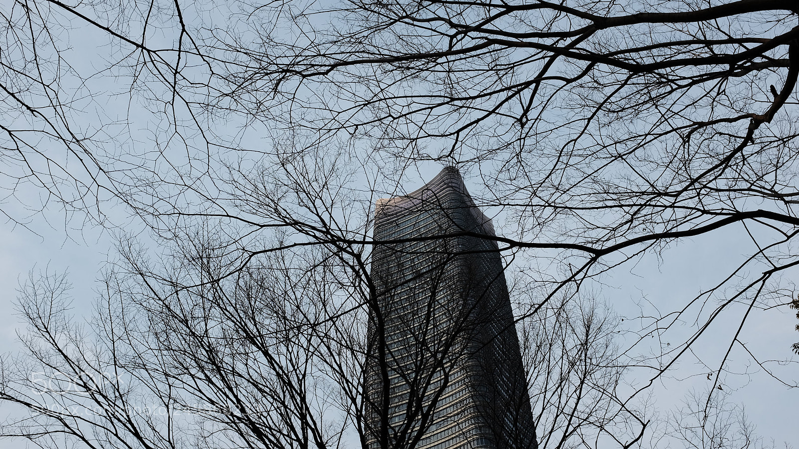 Fujifilm X100T sample photo. Untitled photography