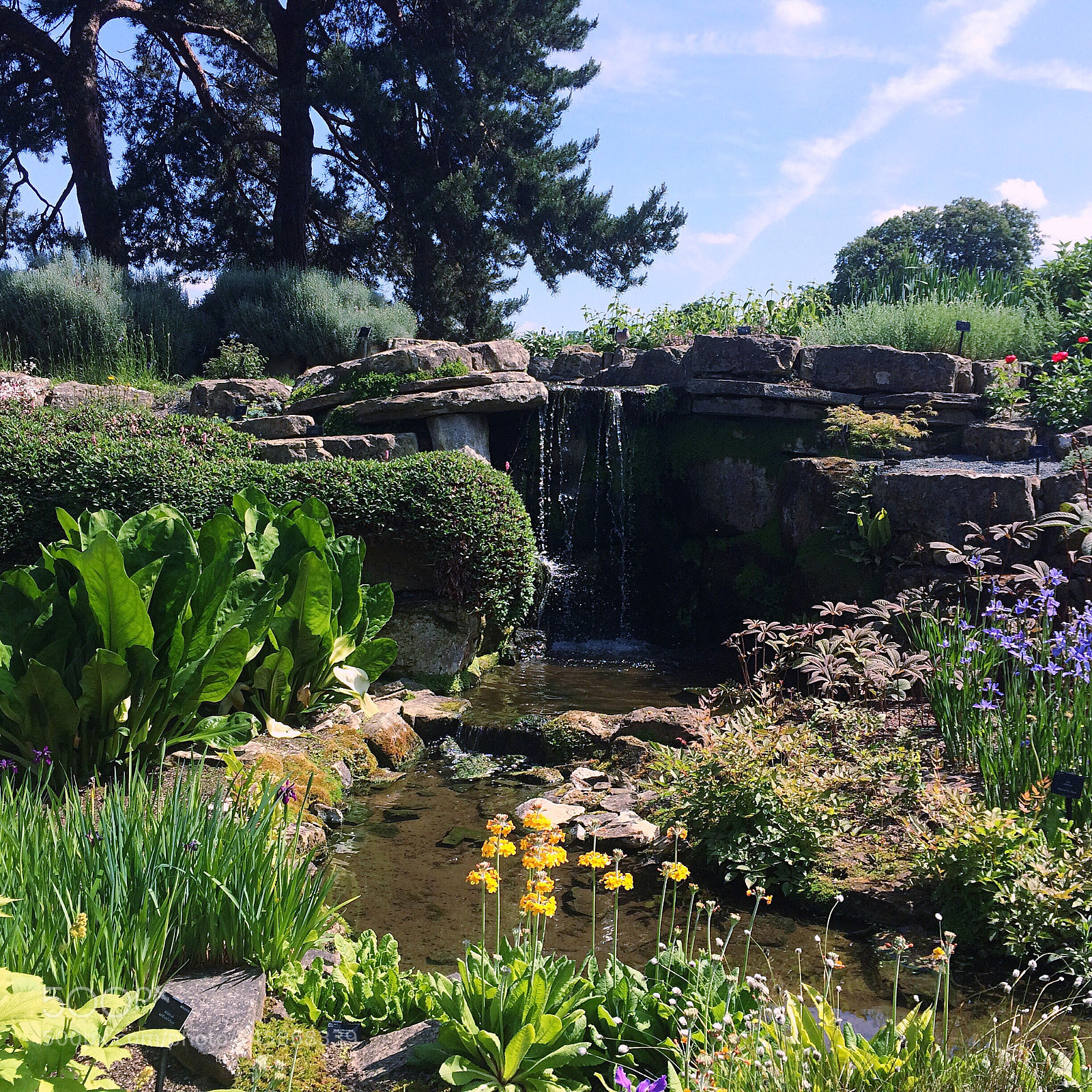 Apple iPhone 5s sample photo. Garden photography
