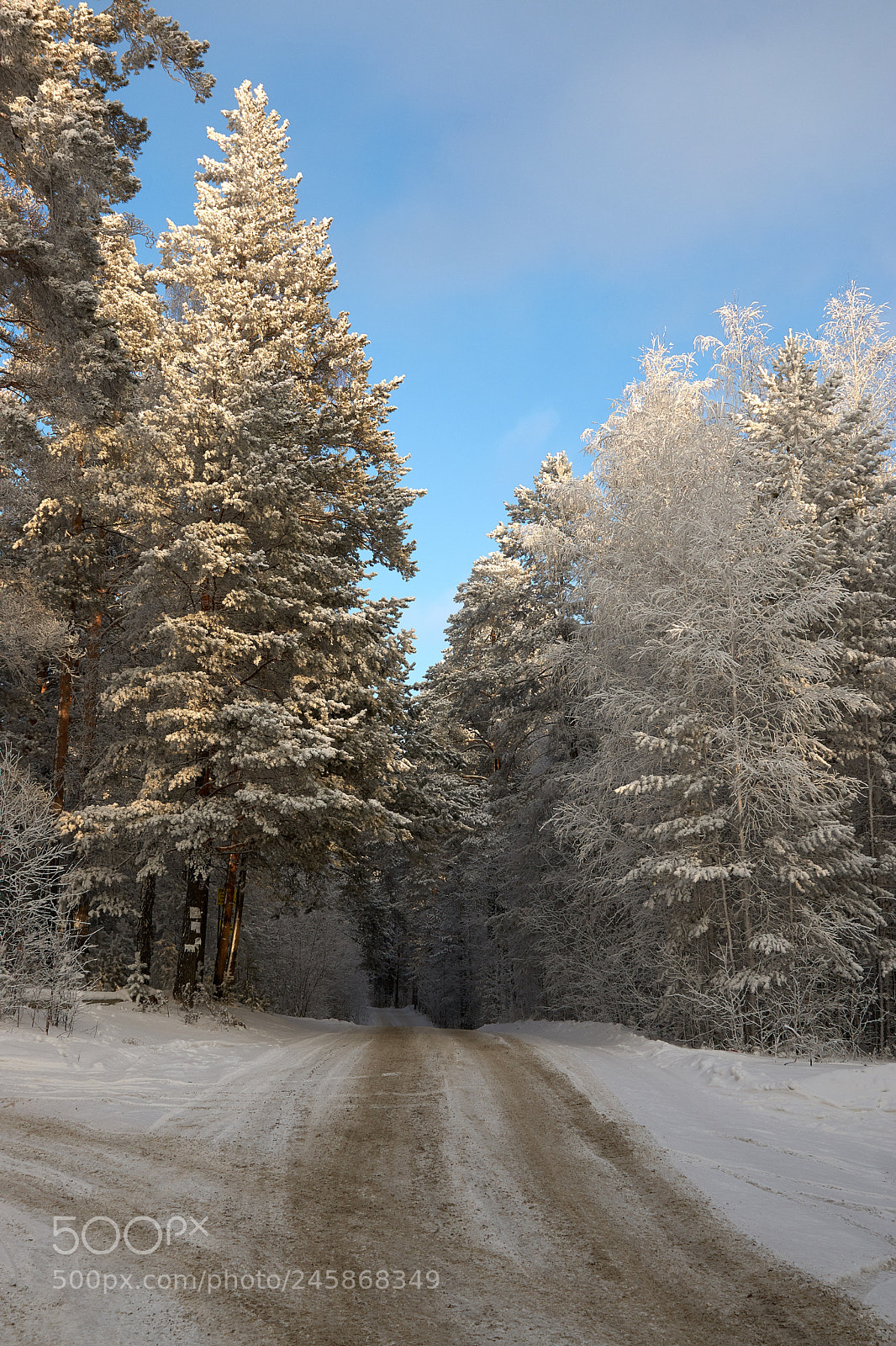 Sony SLT-A77 sample photo. The winter road photography