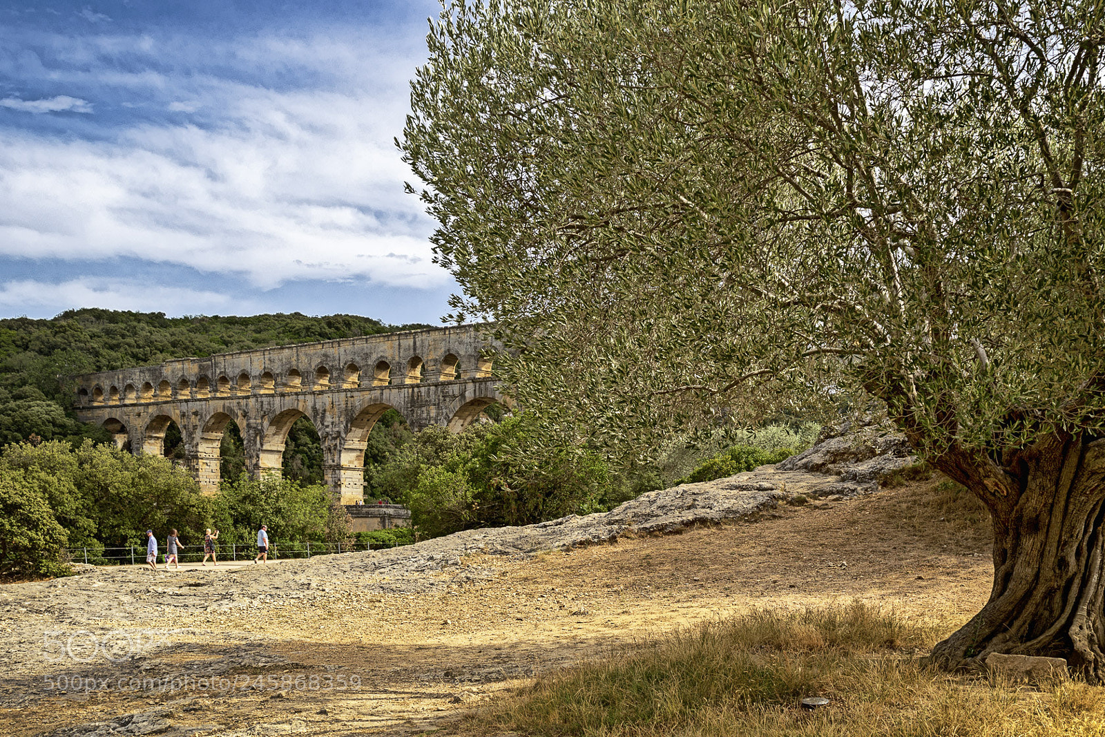 Canon EOS 7D Mark II sample photo. Pont du gard photography