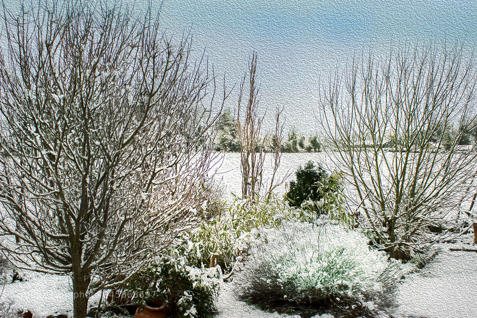 Canon EOS 600D (Rebel EOS T3i / EOS Kiss X5) sample photo. Garden snow photography