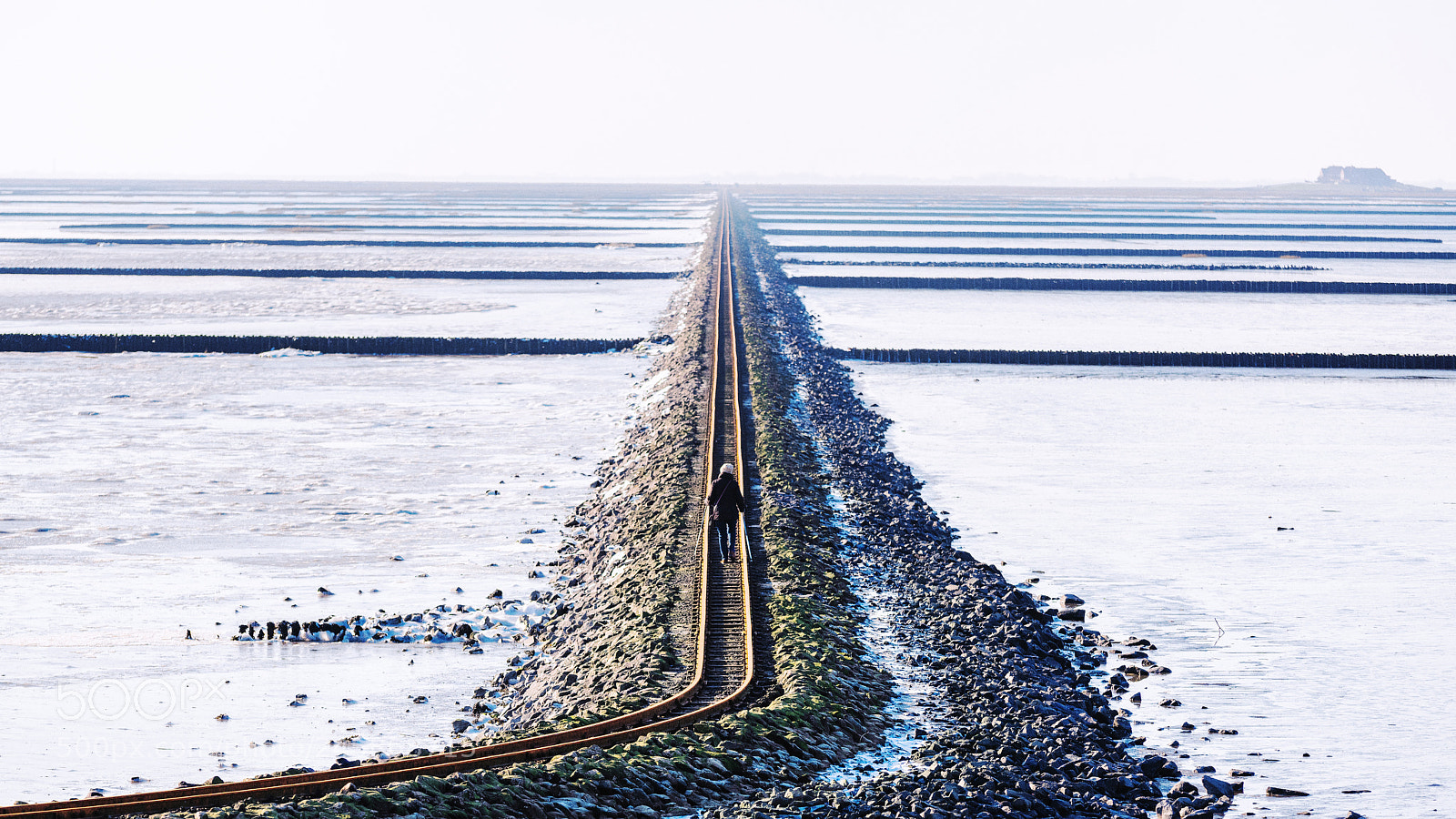 Nikon D850 sample photo. The road to nordstrandischmoor photography