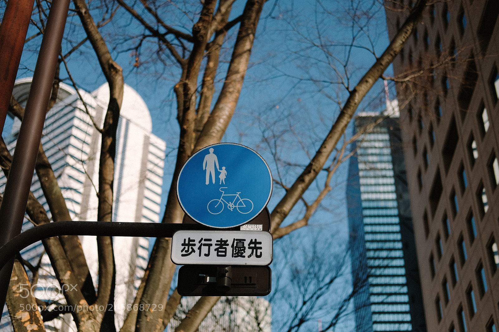 Fujifilm X-T10 sample photo. Untitled photography