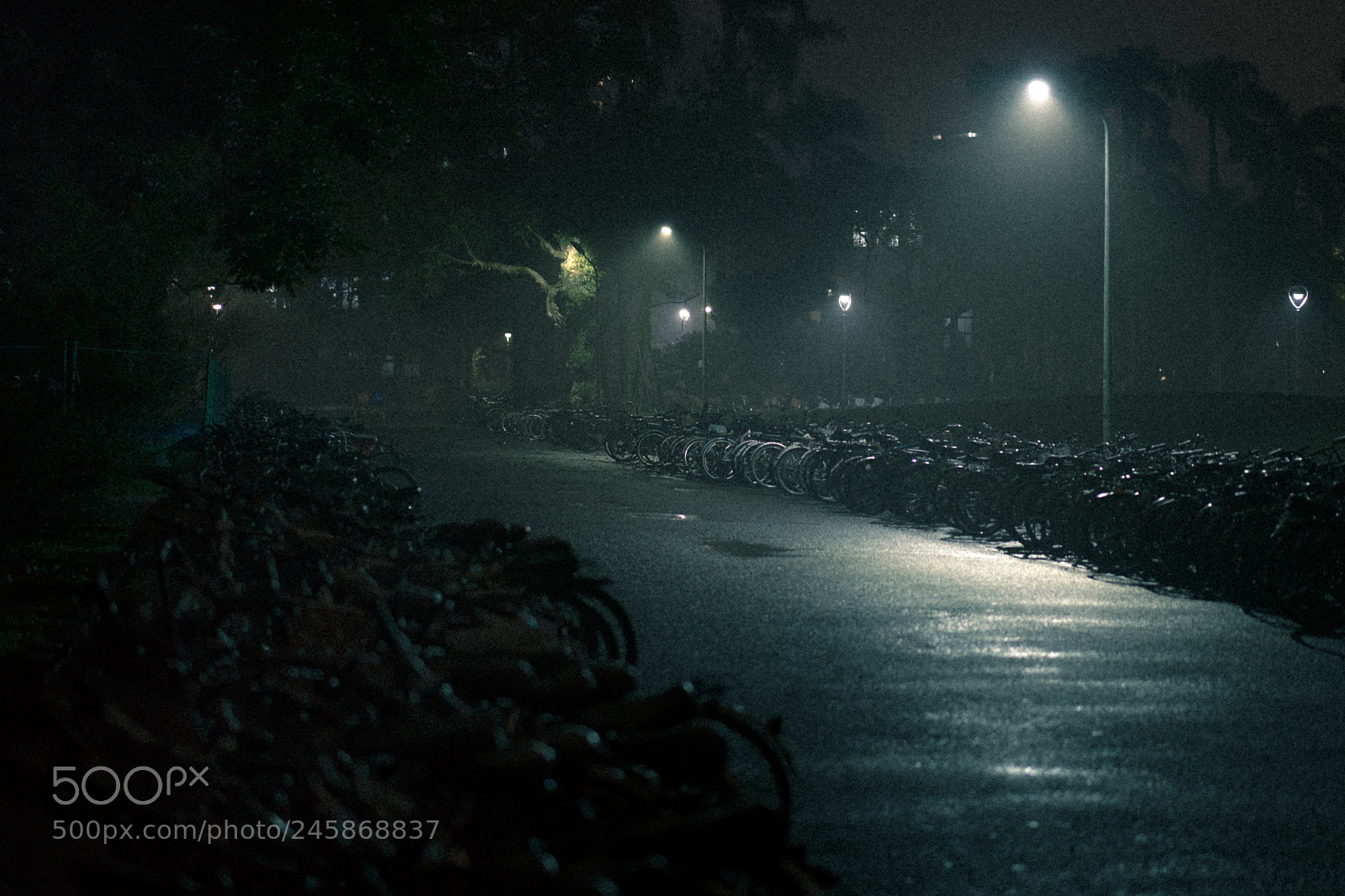 Sony a7R II sample photo. Blade runner photography