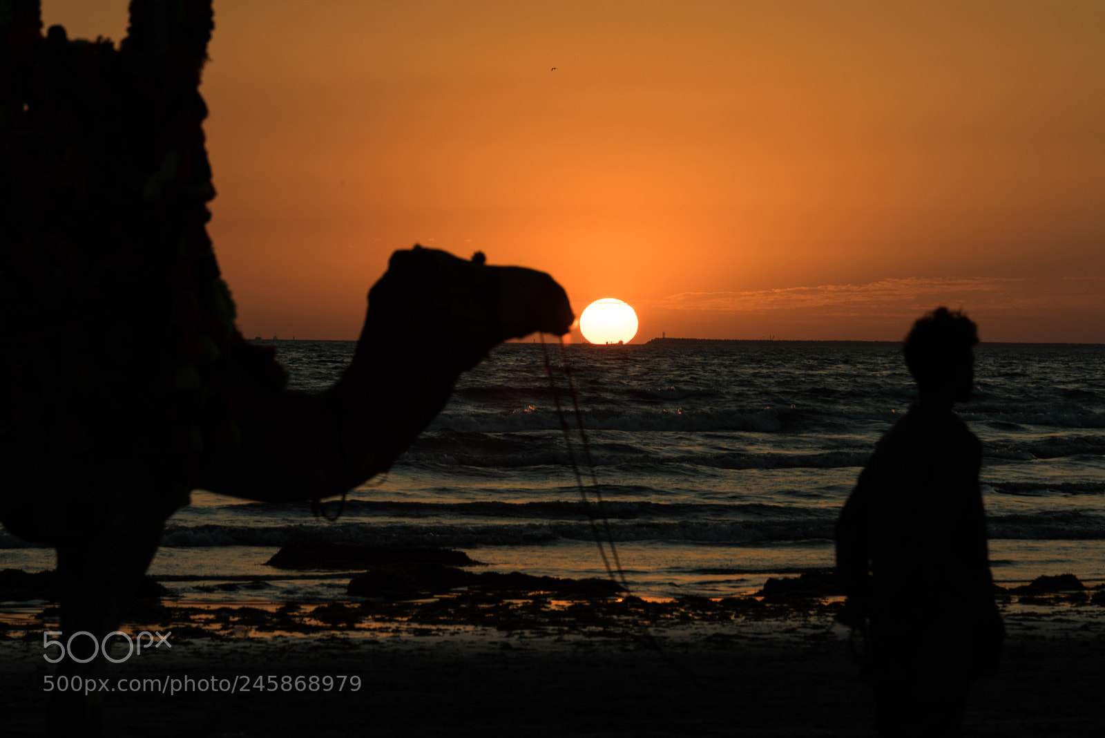 Nikon D810 sample photo. Sunset photography
