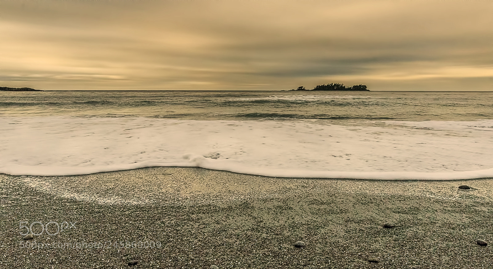 Sony a7R sample photo. Gentle meeting photography