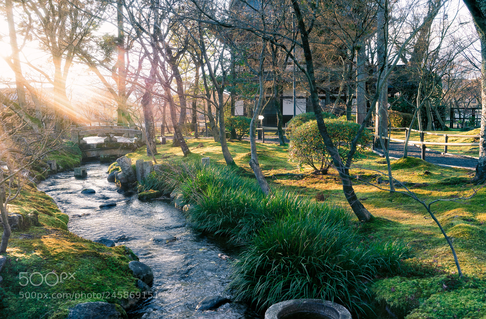 Sony a7 II sample photo. Eikan do photography