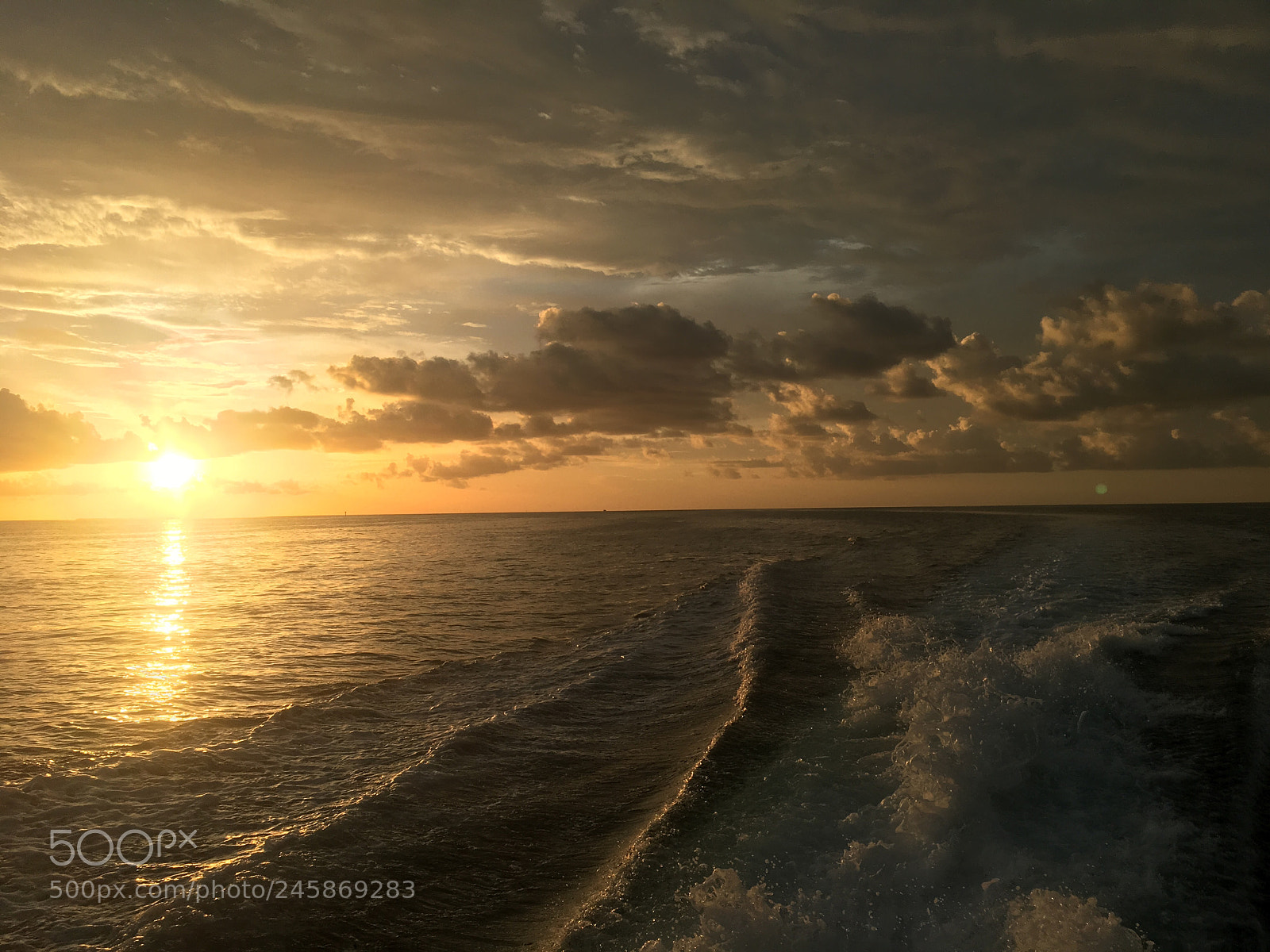 Apple iPhone 6s sample photo. 25147722577.jpg photography