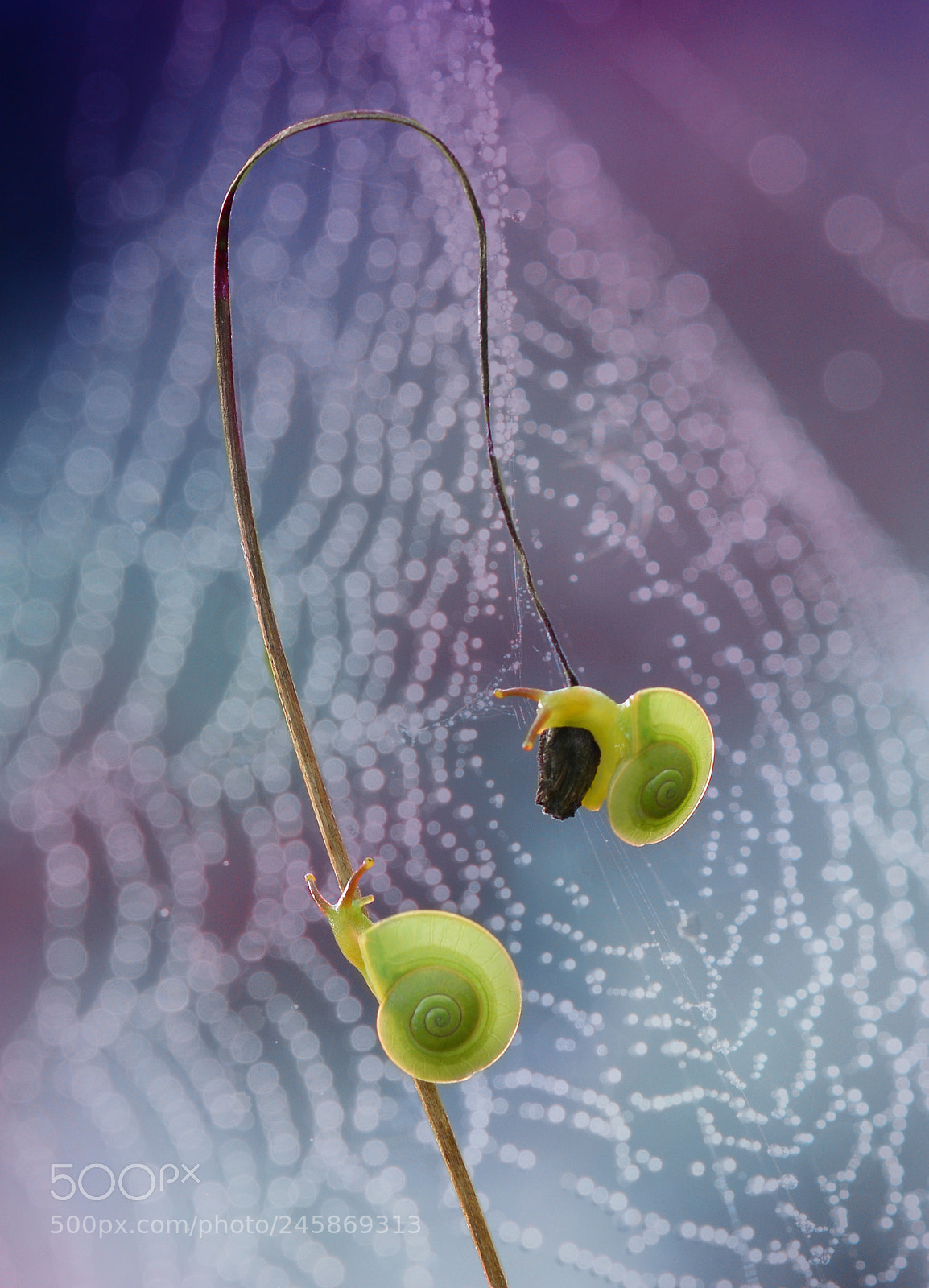 Nikon D7100 sample photo. On another planet photography