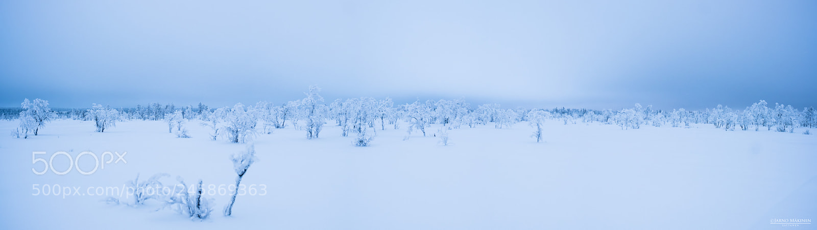 Fujifilm X-T2 sample photo. Arctic beauty - winterborn photography
