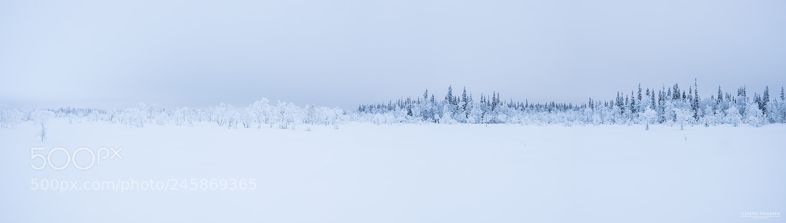 Fujifilm X-T2 sample photo. Arctic beauty - light photography