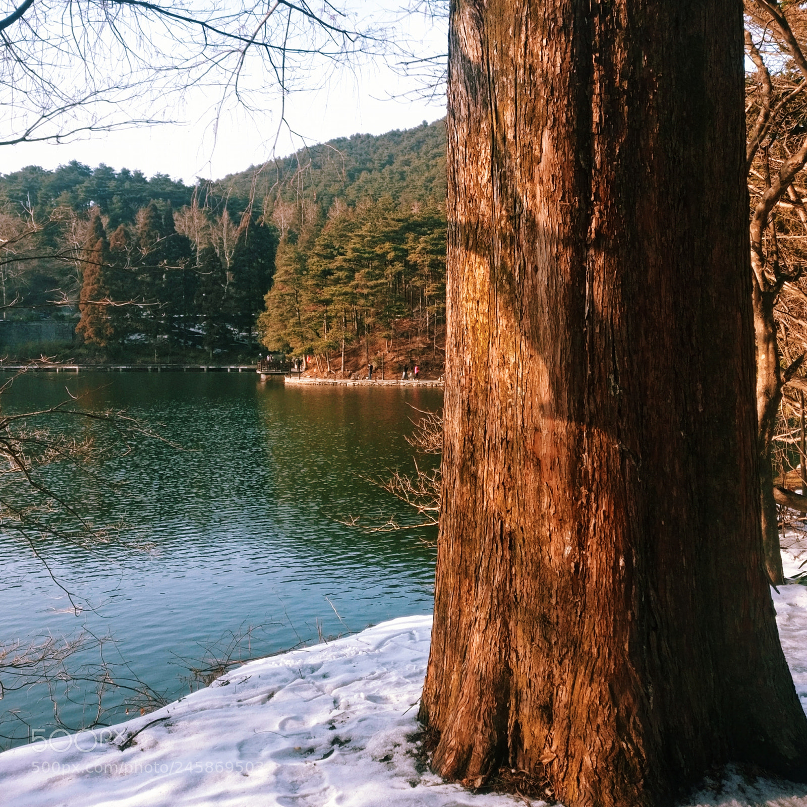 OnePlus A3000 sample photo. Untitled photography