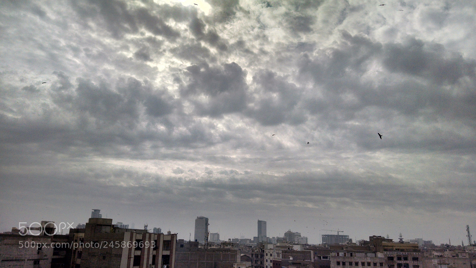 Motorola Moto X (1st Gen) sample photo. Untitled photography