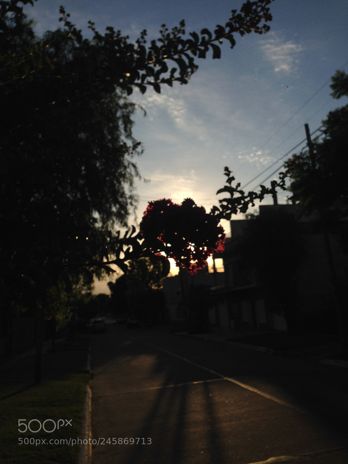Apple iPhone 5 sample photo. Untitled photography