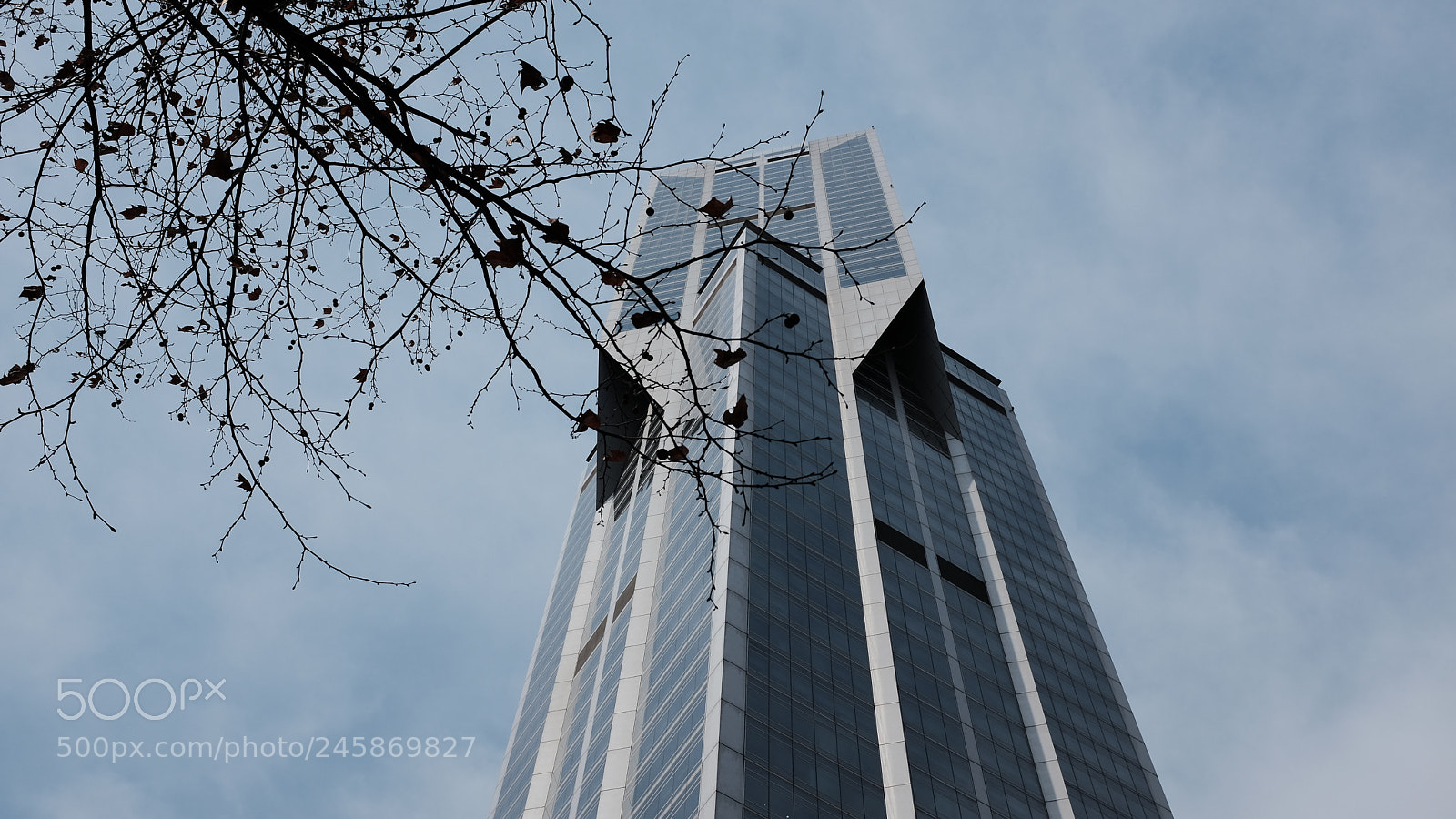Fujifilm X100T sample photo. Untitled photography