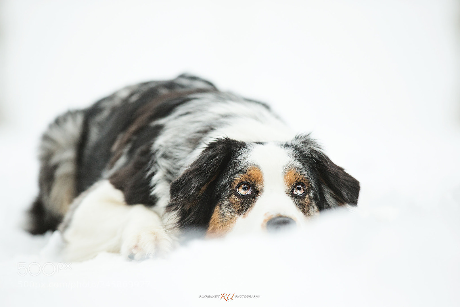 Canon EOS-1D X sample photo. White space photography