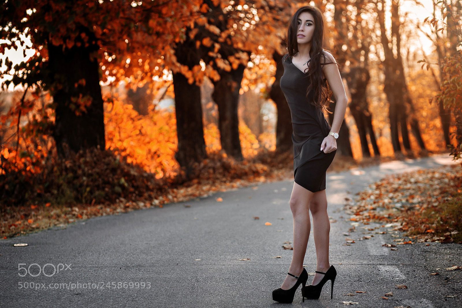 Canon EOS 5D sample photo. Autumn 2 photography