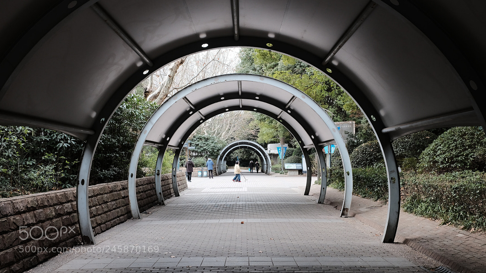 Fujifilm X100T sample photo. Untitled photography