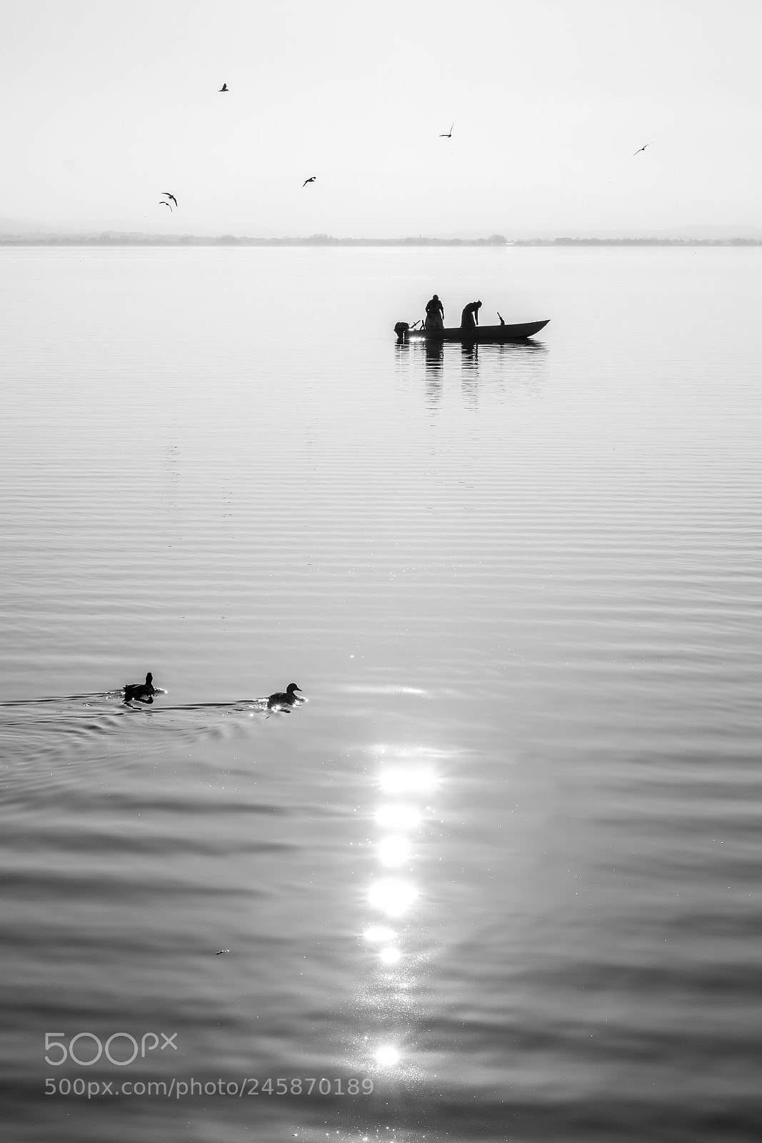 Fujifilm X-T10 sample photo. Life on the lake 2 photography