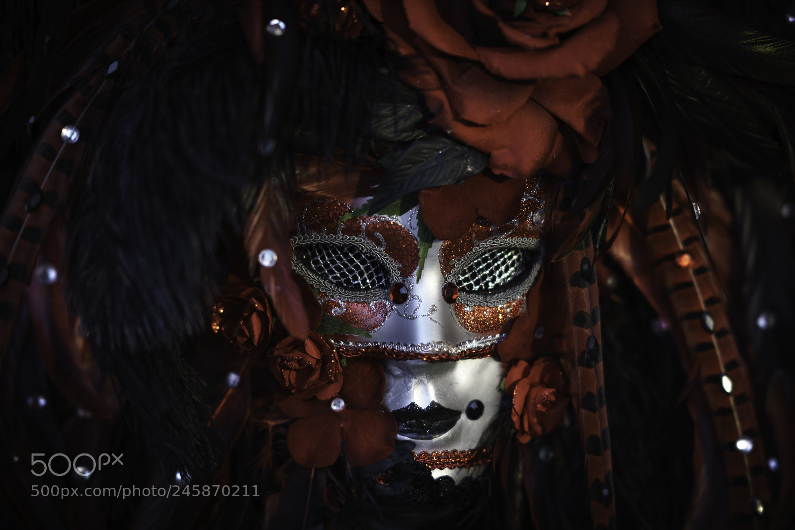 Sony a7R II sample photo. Venice red masks photography