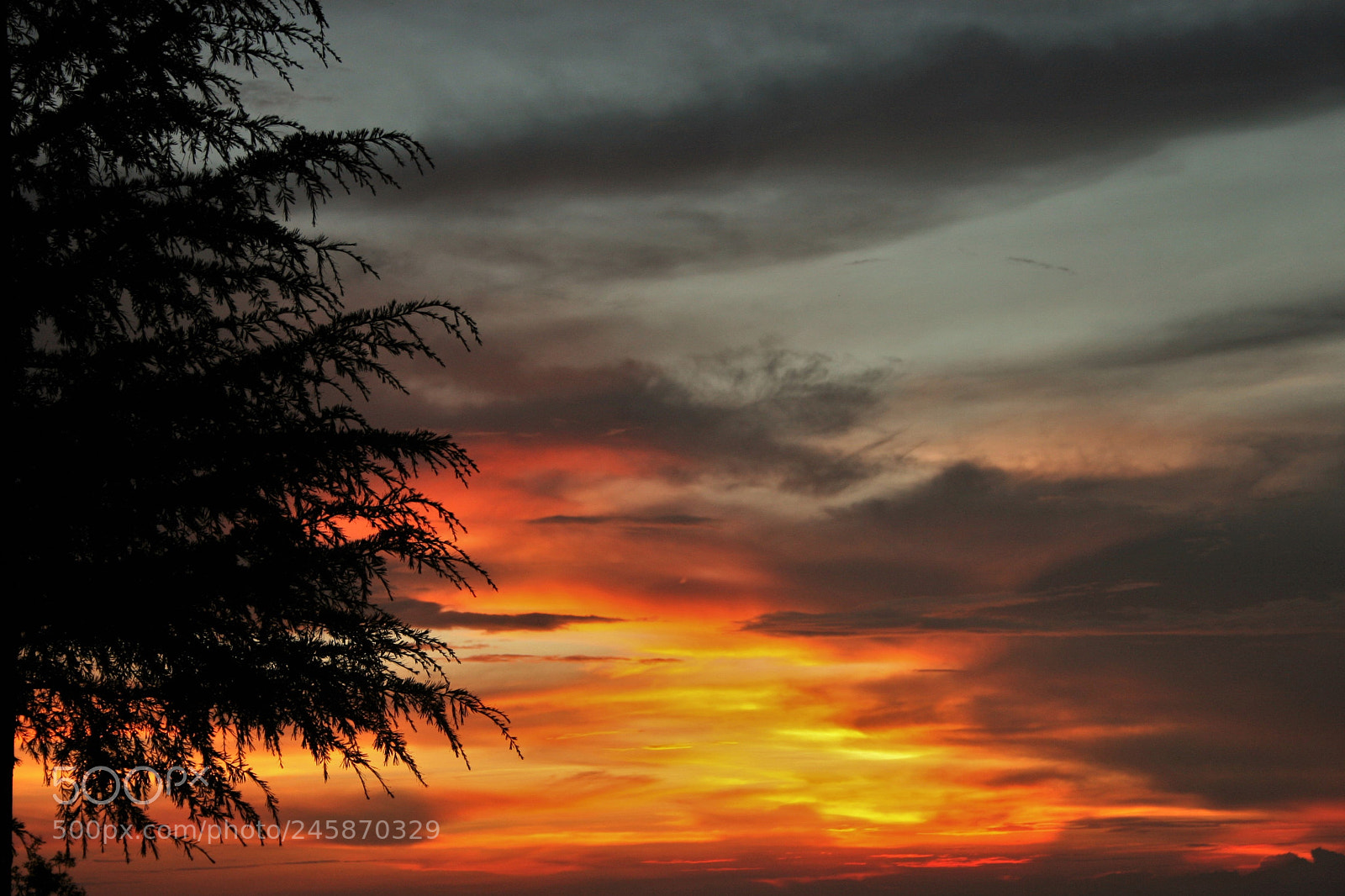 Canon EOS 30D sample photo. Untitled photography