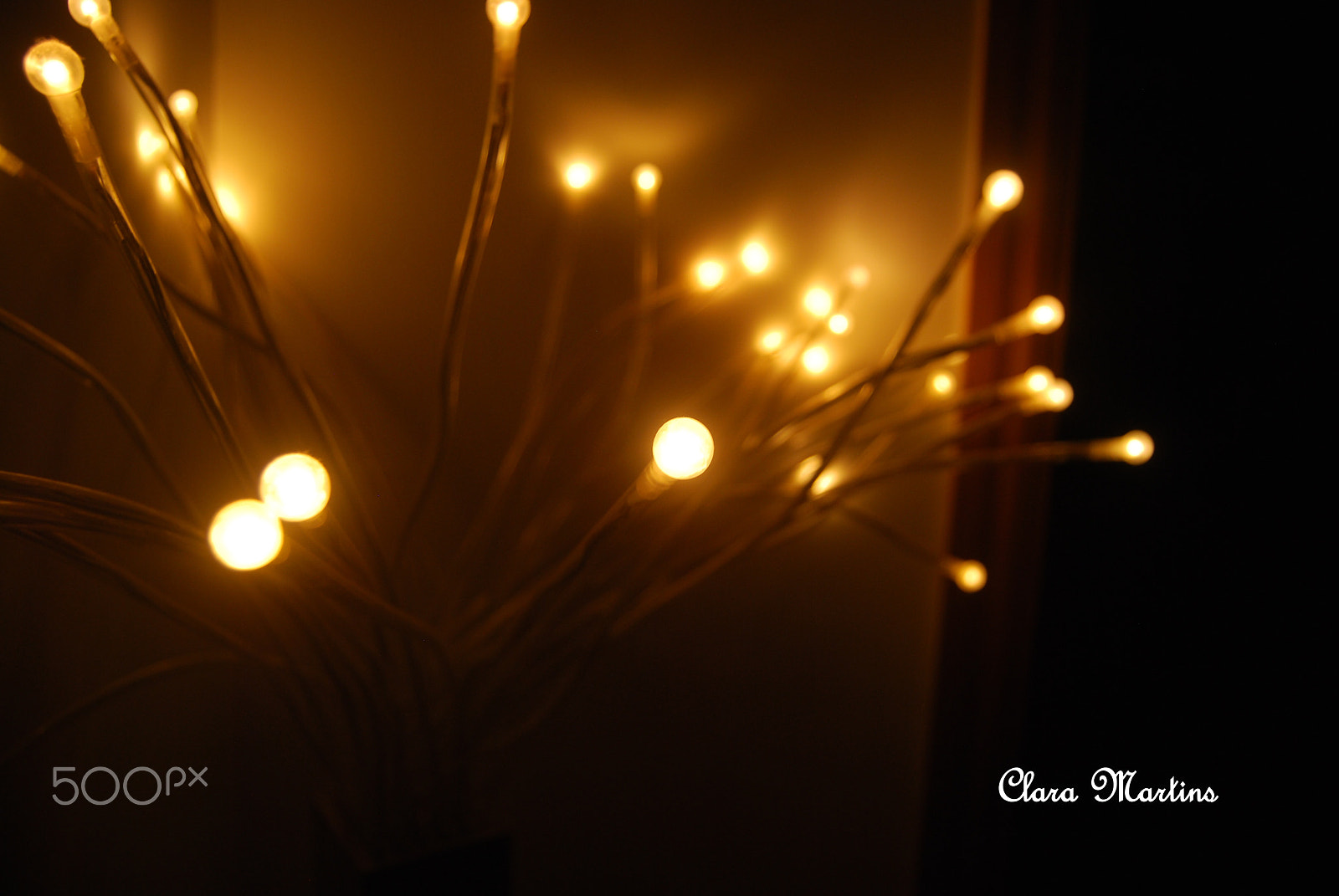 Nikon D60 sample photo. Macro light photography