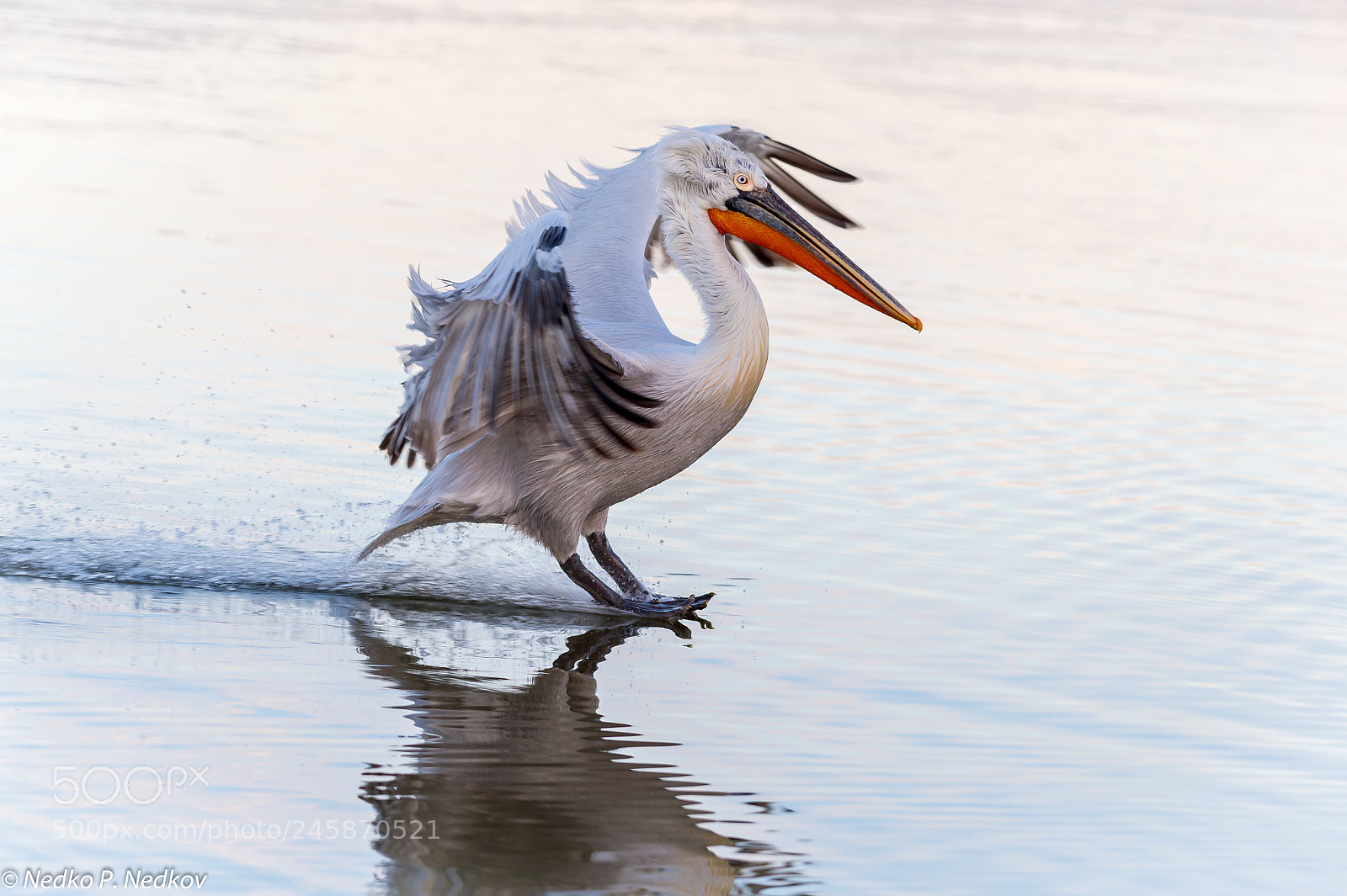 Nikon D4S sample photo. Landing approach photography