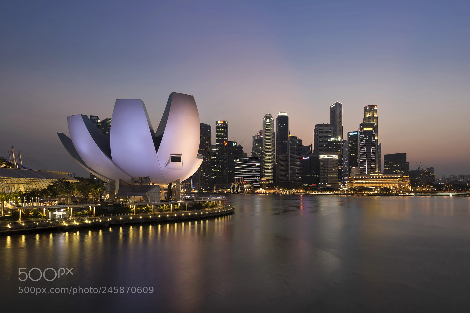 Nikon D610 sample photo. Artscience museum, marina bay photography